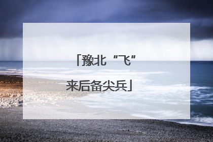 豫北“飞”来后备尖兵