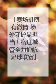 赛场拼搏有激情 场外守护显担当！宿迁城管全力护航足球联赛