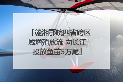 赣湘鄂皖四省跨区域增殖放流 向长江投放鱼苗5万尾