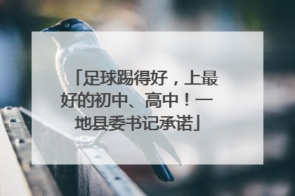 足球踢得好，上最好的初中、高中！一地县委书记承诺