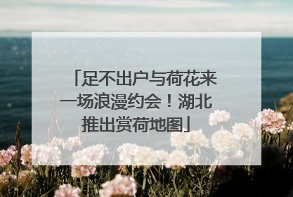 足不出户与荷花来一场浪漫约会！湖北推出赏荷地图