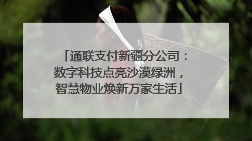 通联支付新疆分公司：数字科技点亮沙漠绿洲，智慧物业焕新万家生活