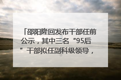 邵阳隆回发布干部任前公示，其中三名“95后”干部拟任副科级领导，均系硕士选调生