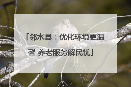 邻水县：优化环境更温馨 养老服务解民忧
