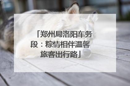 郑州局洛阳车务段：粽情相伴温馨旅客出行路