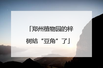 郑州植物园的梓树结“豆角”了