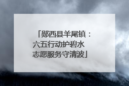 郧西县羊尾镇：六五行动护碧水 志愿服务守清波