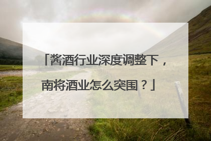 酱酒行业深度调整下，南将酒业怎么突围？