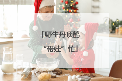 野生丹顶鹤“带娃”忙