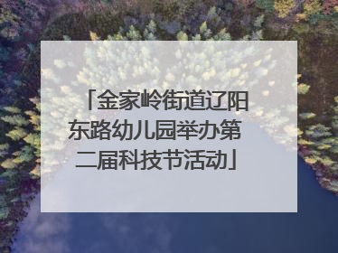 金家岭街道辽阳东路幼儿园举办第二届科技节活动