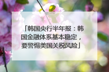 韩国央行半年报：韩国金融体系基本稳定，要警惕美国关税风险