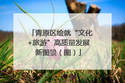青原区绘就“文化+旅游”高质量发展新图景（图）