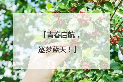 青春启航，逐梦蓝天！