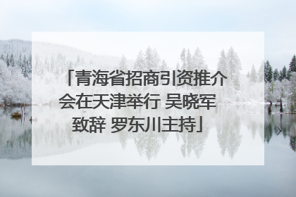 青海省招商引资推介会在天津举行 吴晓军致辞 罗东川主持