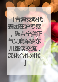 青海党政代表团在沪考察，陈吉宁龚正与吴晓军罗东川座谈交流，深化合作对接