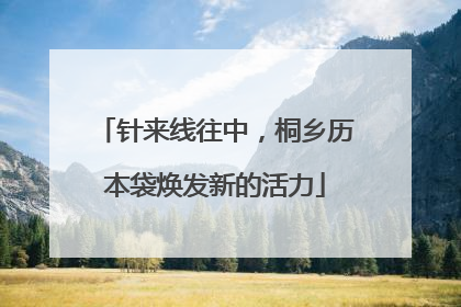 针来线往中，桐乡历本袋焕发新的活力