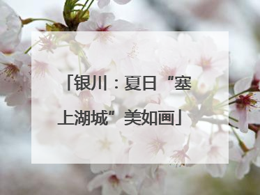 银川：夏日“塞上湖城”美如画