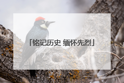 铭记历史 缅怀先烈