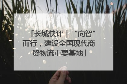 长城快评｜“向智”而行，建设全国现代商贸物流重要基地