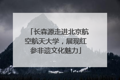 长森源走进北京航空航天大学，展现红参非遗文化魅力