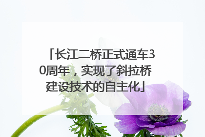 长江二桥正式通车30周年，实现了斜拉桥建设技术的自主化