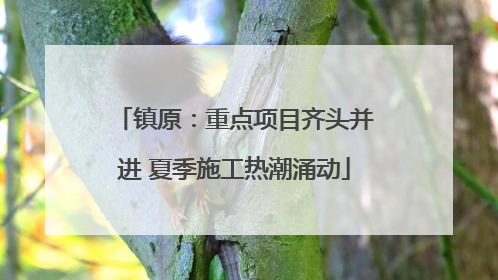 镇原：重点项目齐头并进 夏季施工热潮涌动