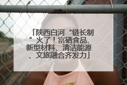 陕西白河“链长制”火了！富硒食品、新型材料、清洁能源、文旅融合齐发力