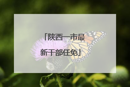 陕西一市最新干部任免