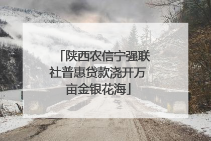 陕西农信宁强联社普惠贷款浇开万亩金银花海