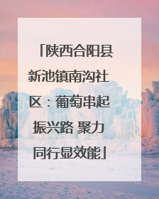 陕西合阳县新池镇南沟社区：葡萄串起振兴路 聚力同行显效能