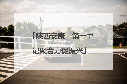 陕西安康：第一书记聚合力促振兴