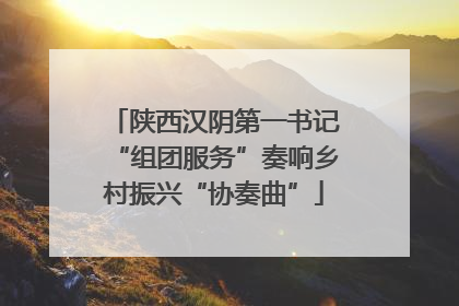 陕西汉阴第一书记“组团服务”奏响乡村振兴“协奏曲”