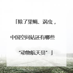 除了果蝇、涡虫，中国空间站还有哪些“动物航天员”