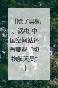 除了果蝇、涡虫 中国空间站还有哪些“动物航天员”