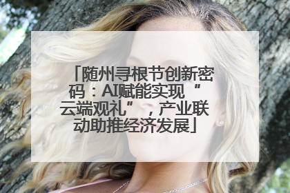 随州寻根节创新密码：AI赋能实现“云端观礼”，产业联动助推经济发展