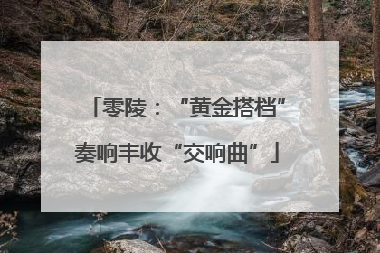 零陵：“黄金搭档”奏响丰收“交响曲”