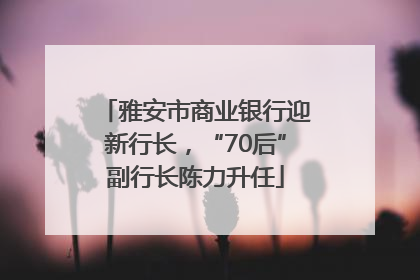 雅安市商业银行迎新行长，“70后”副行长陈力升任