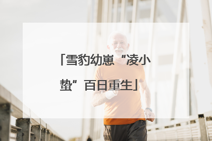 雪豹幼崽“凌小蛰”百日重生
