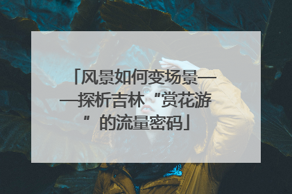 风景如何变场景——探析吉林“赏花游”的流量密码