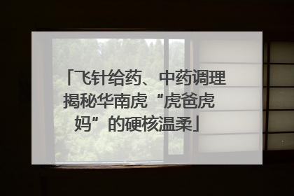 飞针给药、中药调理 揭秘华南虎“虎爸虎妈”的硬核温柔