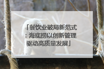 餐饮业破局新范式：海底捞以创新管理驱动高质量发展