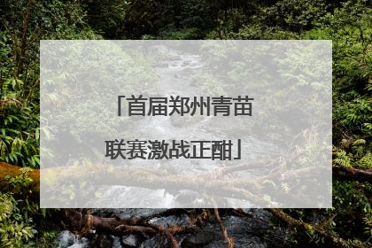 首届郑州青苗联赛激战正酣