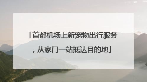 首都机场上新宠物出行服务，从家门一站抵达目的地