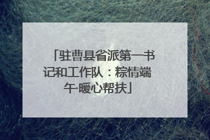 驻曹县省派第一书记和工作队：粽情端午·暖心帮扶