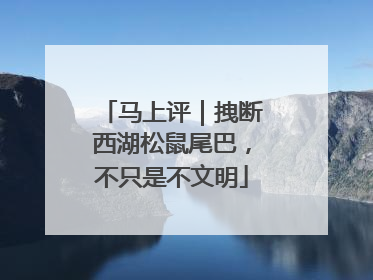 马上评｜拽断西湖松鼠尾巴，不只是不文明