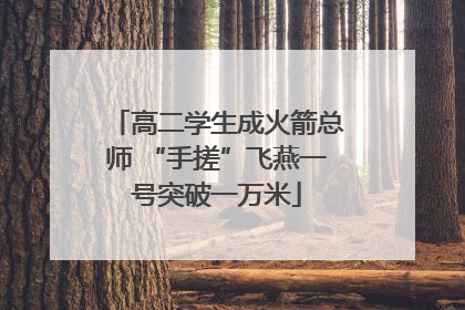 高二学生成火箭总师 “手搓”飞燕一号突破一万米