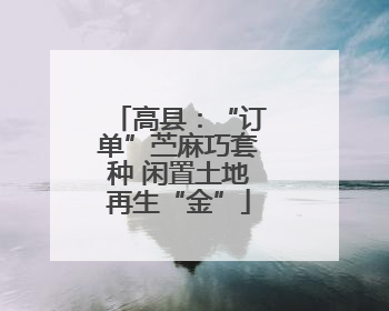 高县：“订单”苎麻巧套种 闲置土地再生“金”