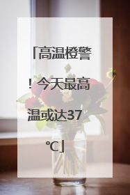 高温橙警！今天最高温或达37℃