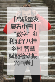 高质量发展看中国｜“数字”红利润泽八桂乡村 智慧赋能绘就振兴画卷