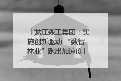 龙江森工集团：实施创新驱动 “数智林业”跑出加速度